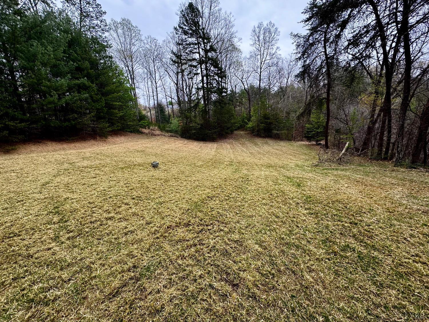 0 Lackey Road Collinsville, VA 24078 - Photo 3 of 3 a view of outdoor space with garden
