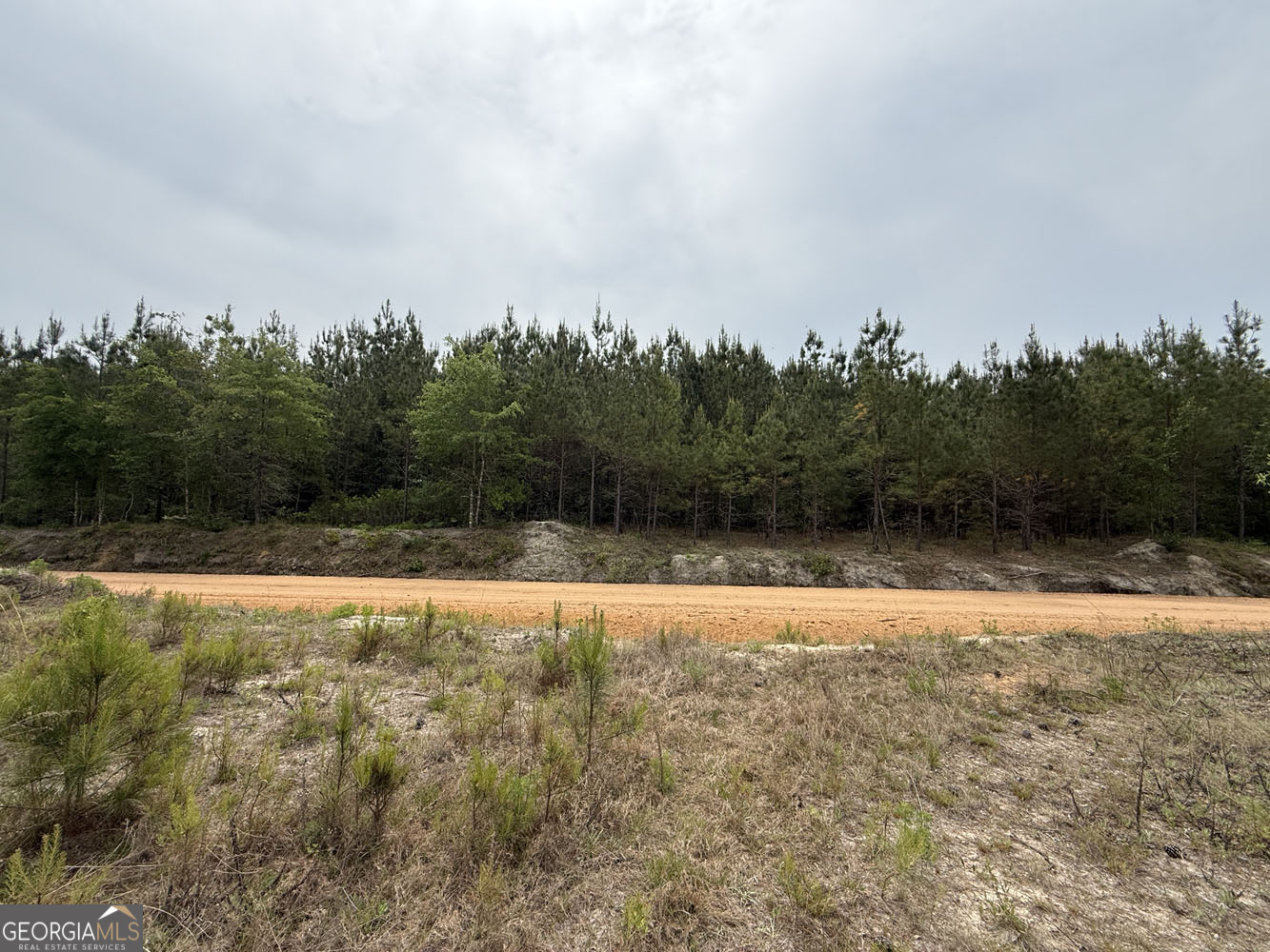 8 Cedar Grove Dublin, GA 31021 - Photo 2 of 10 a view of swimming pool with a yard