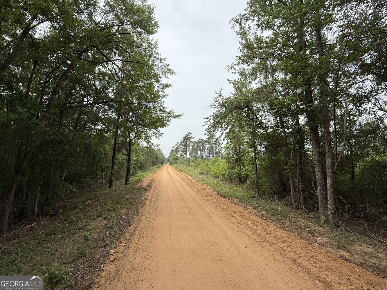 8 Cedar Grove Dublin, GA 31021 - Photo 4 of 10 a view of a road with trees in the background