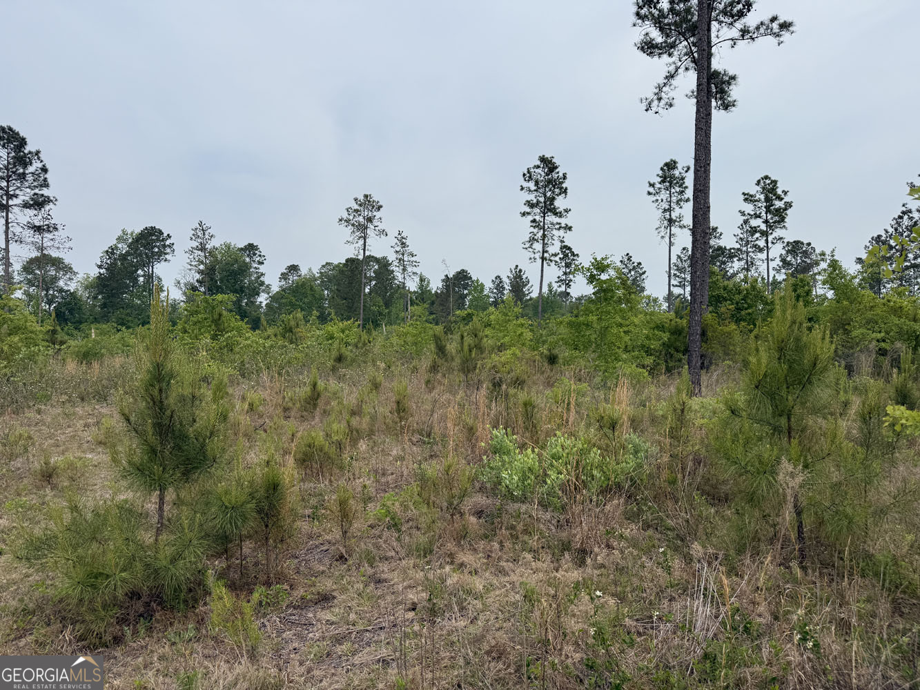 8 Cedar Grove Dublin, GA 31021 - Photo 6 of 10 a view of a street