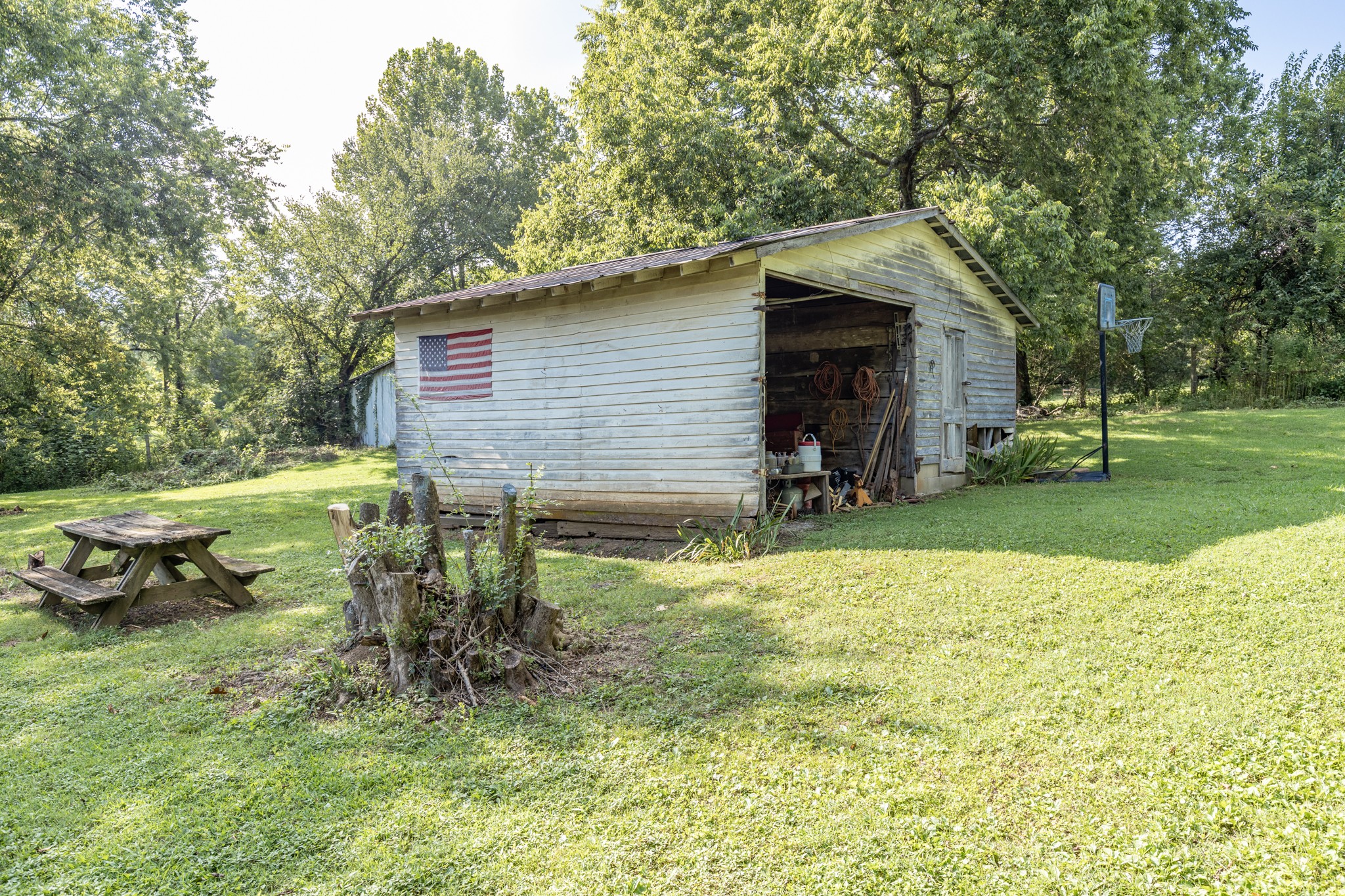 429 Cathcart Road Frankewing, TN 38459 - Photo 4 of 39 a backyard of a house with yard and trampoline