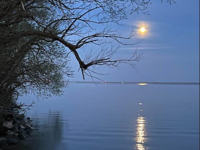 N9746 Highland Park Road Malone, WI 53049 - Photo 59 of 67