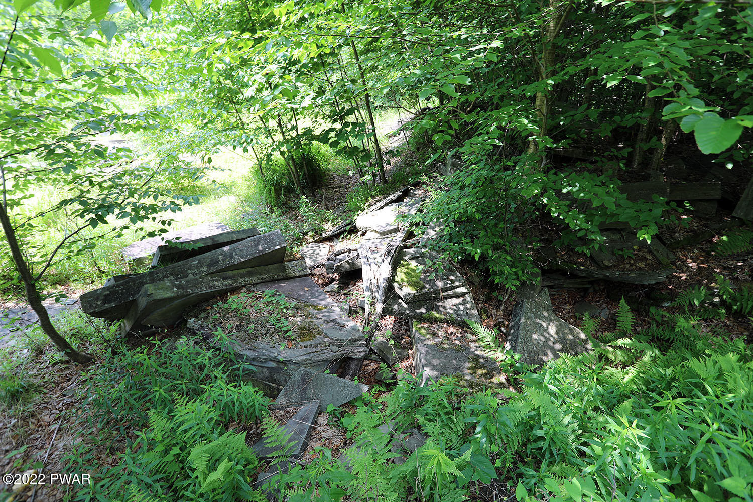 0 Minckler Mountain Road Damascus, PA 18415 - Photo 16 of 43