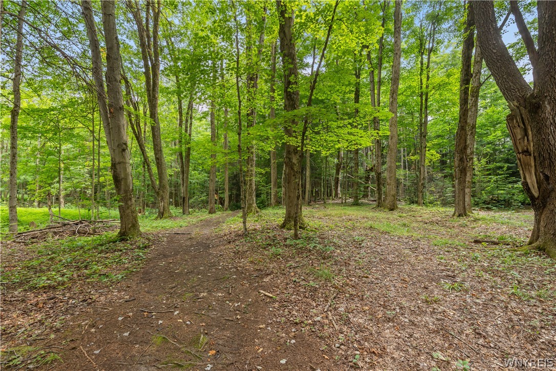 28 Treehaven Road Wethersfield, NY 14066 - Photo 46 of 48 Yard