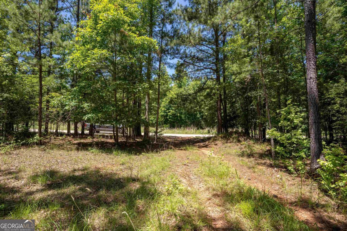 Lot 36 Marshall Road Buckhead, GA 30625 - Photo 6 of 8 a view of a yard with large trees