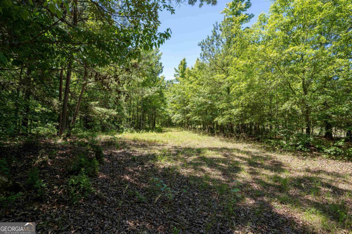 Lot 36 Marshall Road Buckhead, GA 30625 - Photo 7 of 8 a view of outdoor space and trees