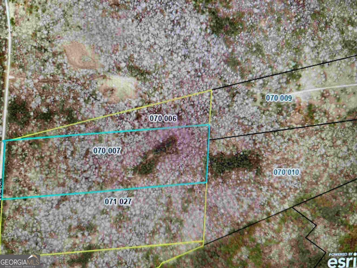 Lot 36 Marshall Road Buckhead, GA 30625 - Photo 8 of 8 a view of a yard