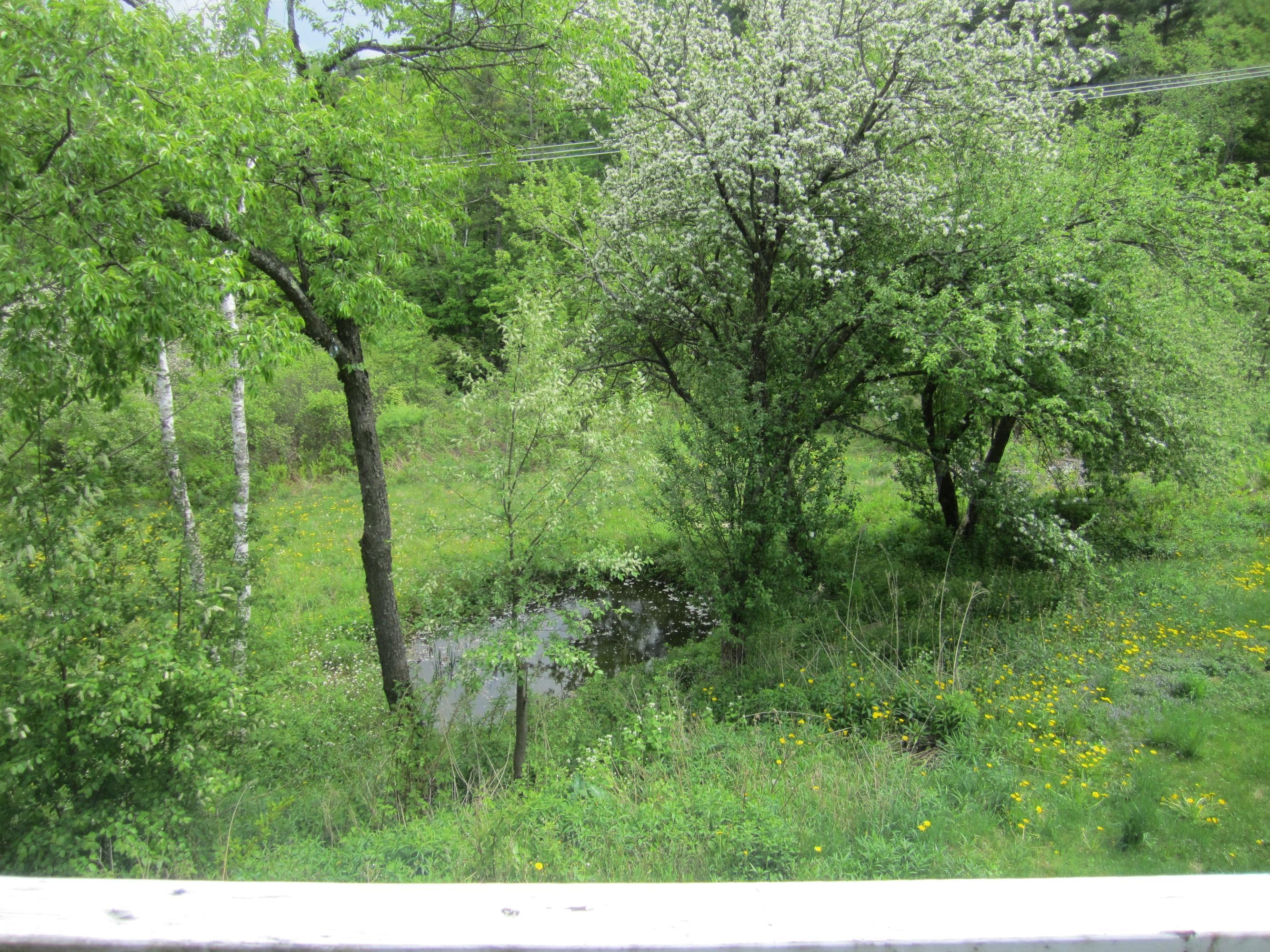 217 Central Shaft Road Florida, MA 01247 - Photo 3 of 12 IMG_0681