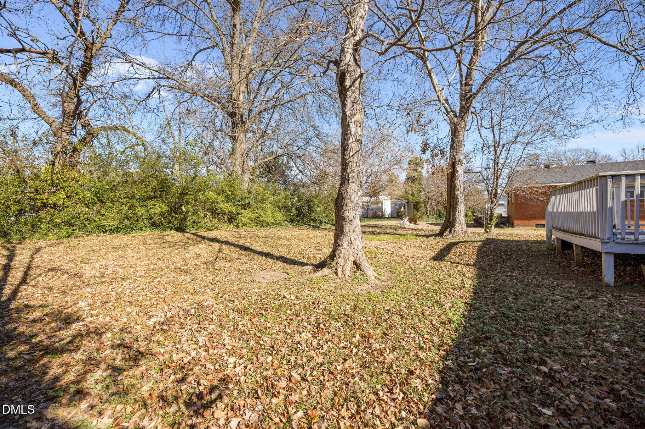 823 Hadley Road Raleigh, NC 27610 - Photo 35 of 35 a view of outdoor space yard and tree