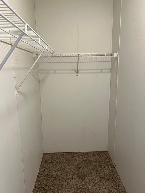 16469 Spring Rain Court Conroe, TX 77302 - Photo 15 of 18 Nice size closets