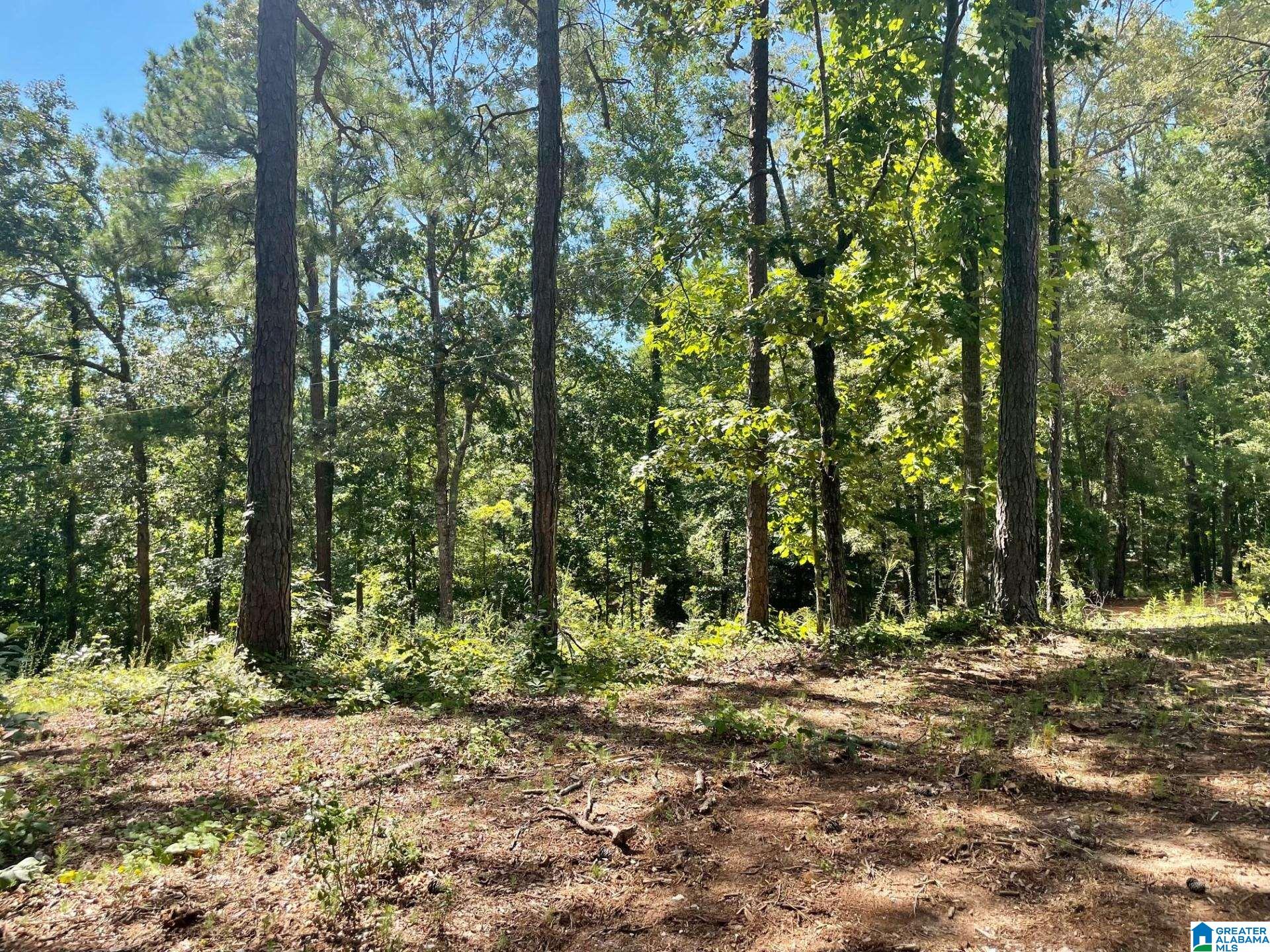 897 County Road, Unit 7 Wedowee, AL 36278 - Photo 6 of 8