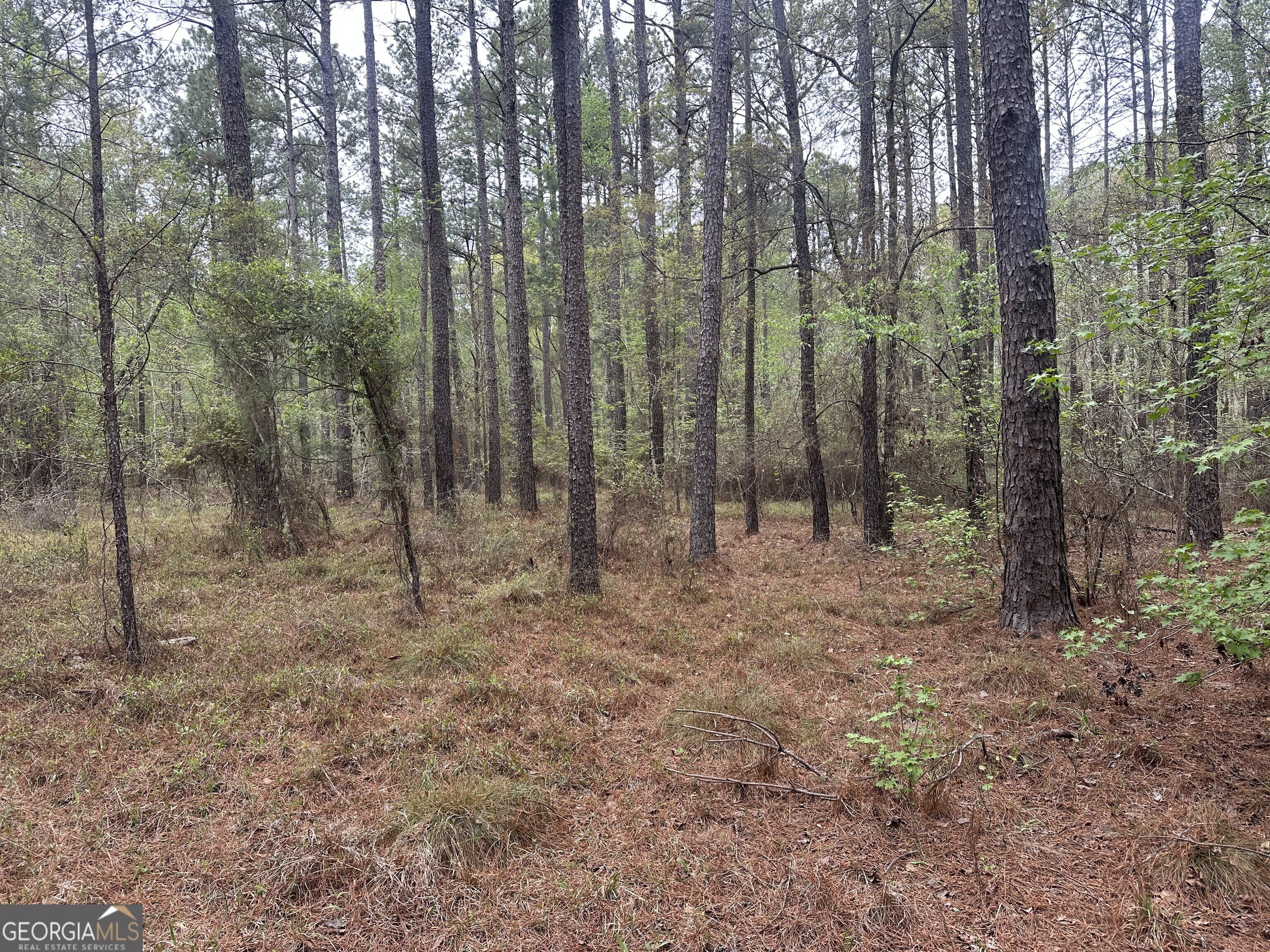 0 Fred Chance Road Millen, GA 30442 - Photo 8 of 19