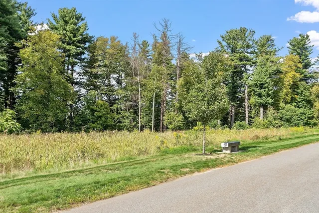 a view of yard with green space