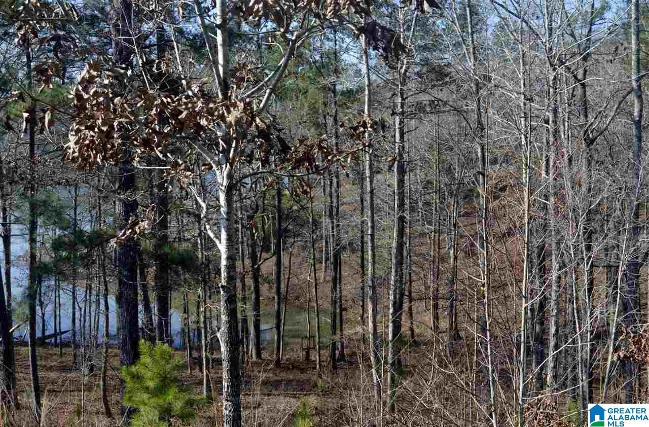 Stillwaters Trail, Unit 179 Sylacauga, AL 35151 - Photo 12 of 20