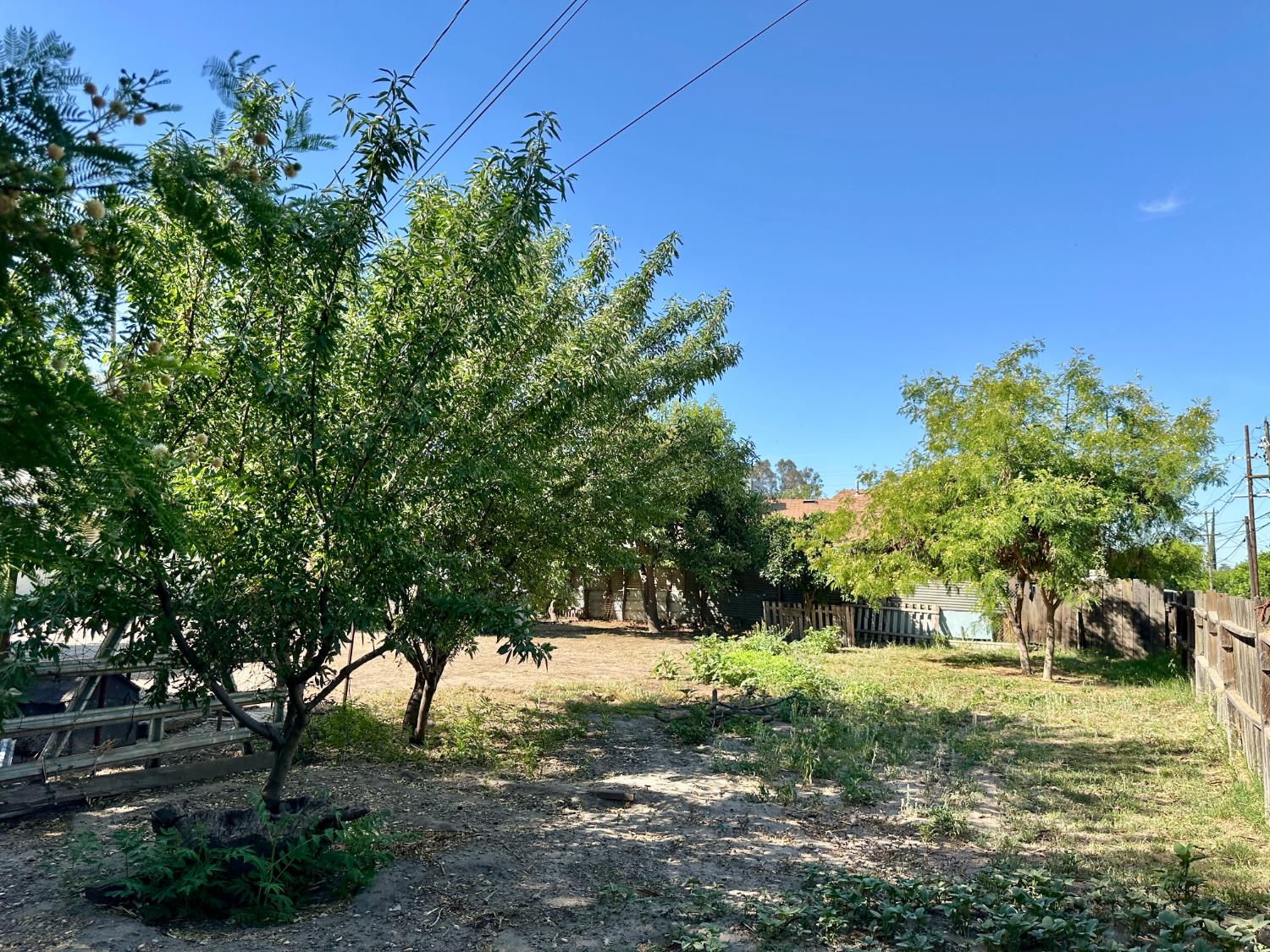 809 Washington Avenue Madera, CA 93638 - Photo 17 of 20 a view of backyard with green space