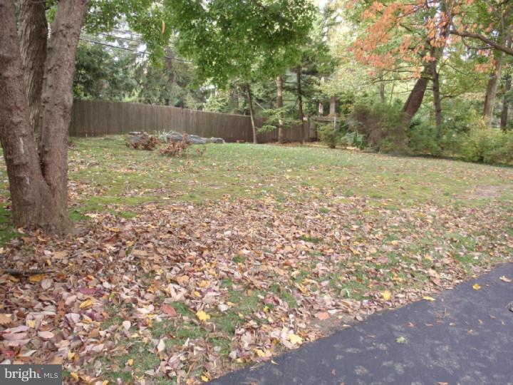 354 Williams Road Wynnewood, PA 19096 - Photo 20 of 21 Back Yard