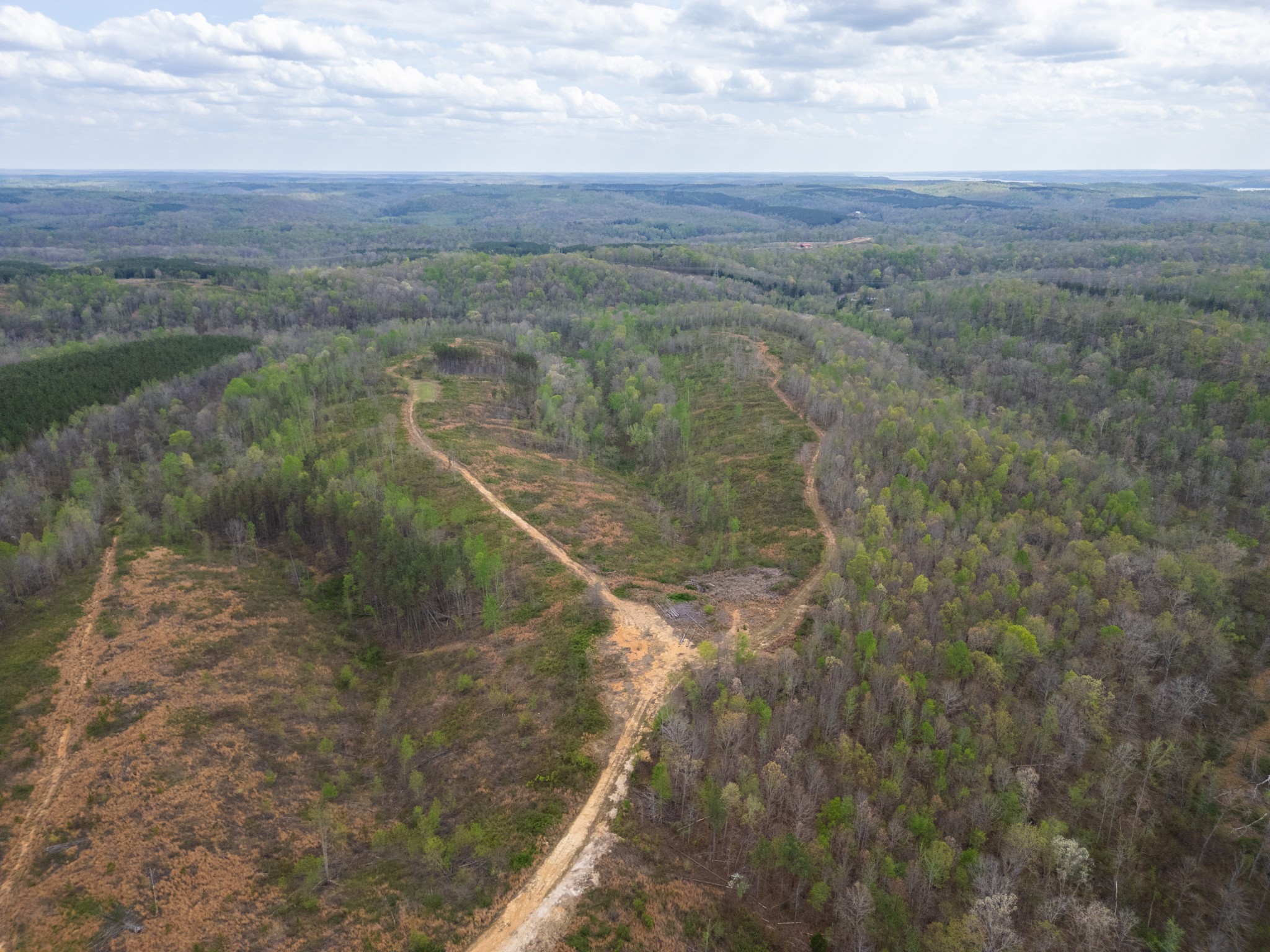 0 Rustic Pines Road Dover, TN 37058 - Photo 11 of 21