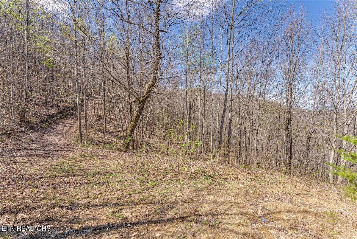 422 Crooked Branch Road Huntsville, TN 37756 - Photo 21 of 35 31-Entrance A6