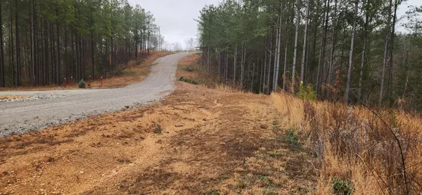 a view of a backyard of the house