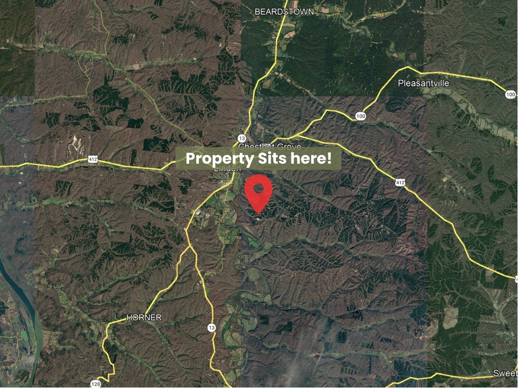 289 Center Ridge Drive Linden, TN 37096 - Photo 14 of 15 a picture of street view