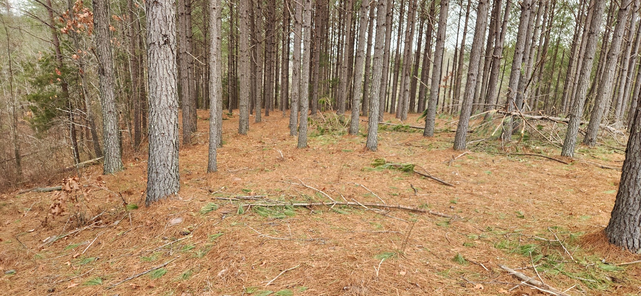 289 Center Ridge Drive Linden, TN 37096 - Photo 4 of 15 a view of wooden fence