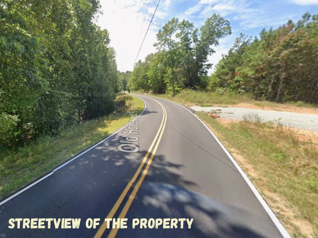 289 Center Ridge Drive Linden, TN 37096 - Photo 6 of 15 a view of swimming pool with a yard