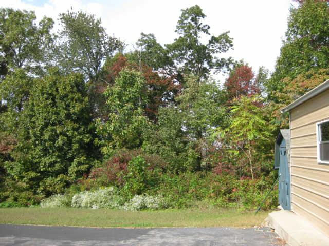 950 Woodhaven Road Lyles, TN 37098 - Photo 19 of 20 Beauty and privacy with your views of the back yard. This picture is showing an Eastern view.