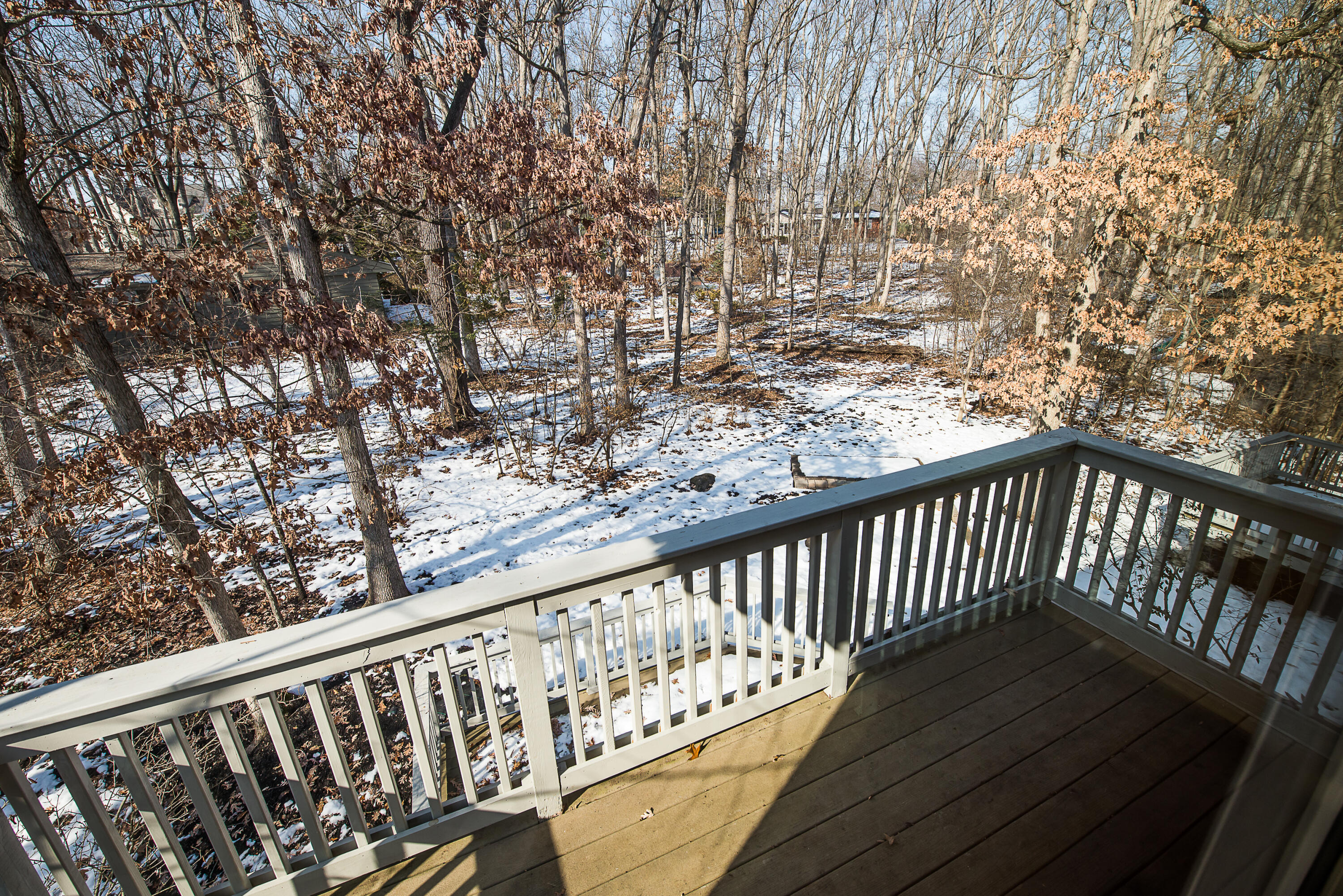 2925 Exmoor Road Ann Arbor, MI 48104 - Photo 49 of 97 View from balcony