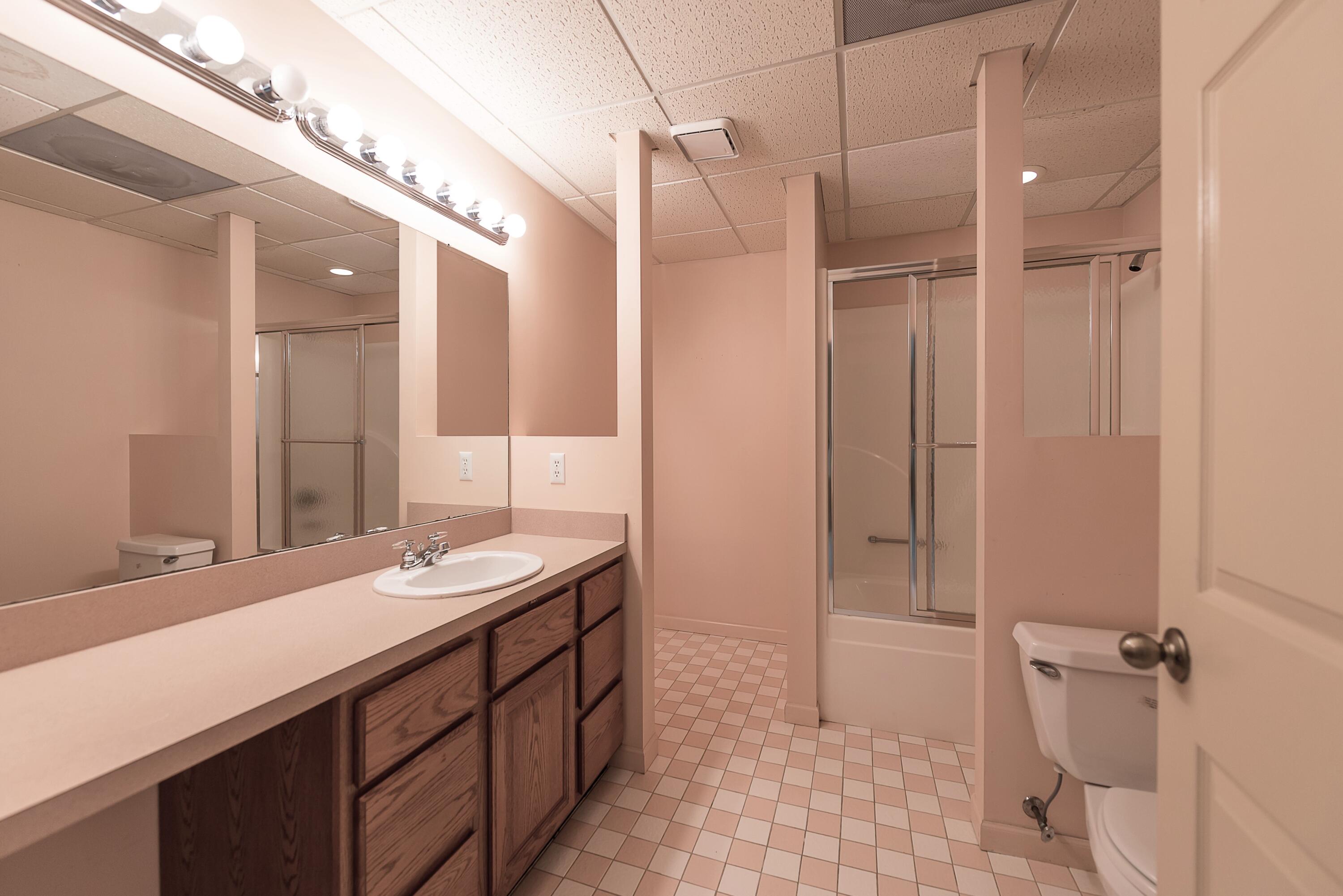 2925 Exmoor Road Ann Arbor, MI 48104 - Photo 67 of 97 Bath