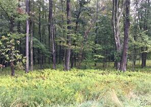 Lesley Run Road Weatherly, PA 18255 - Photo 2 of 2 Gallery Image 2