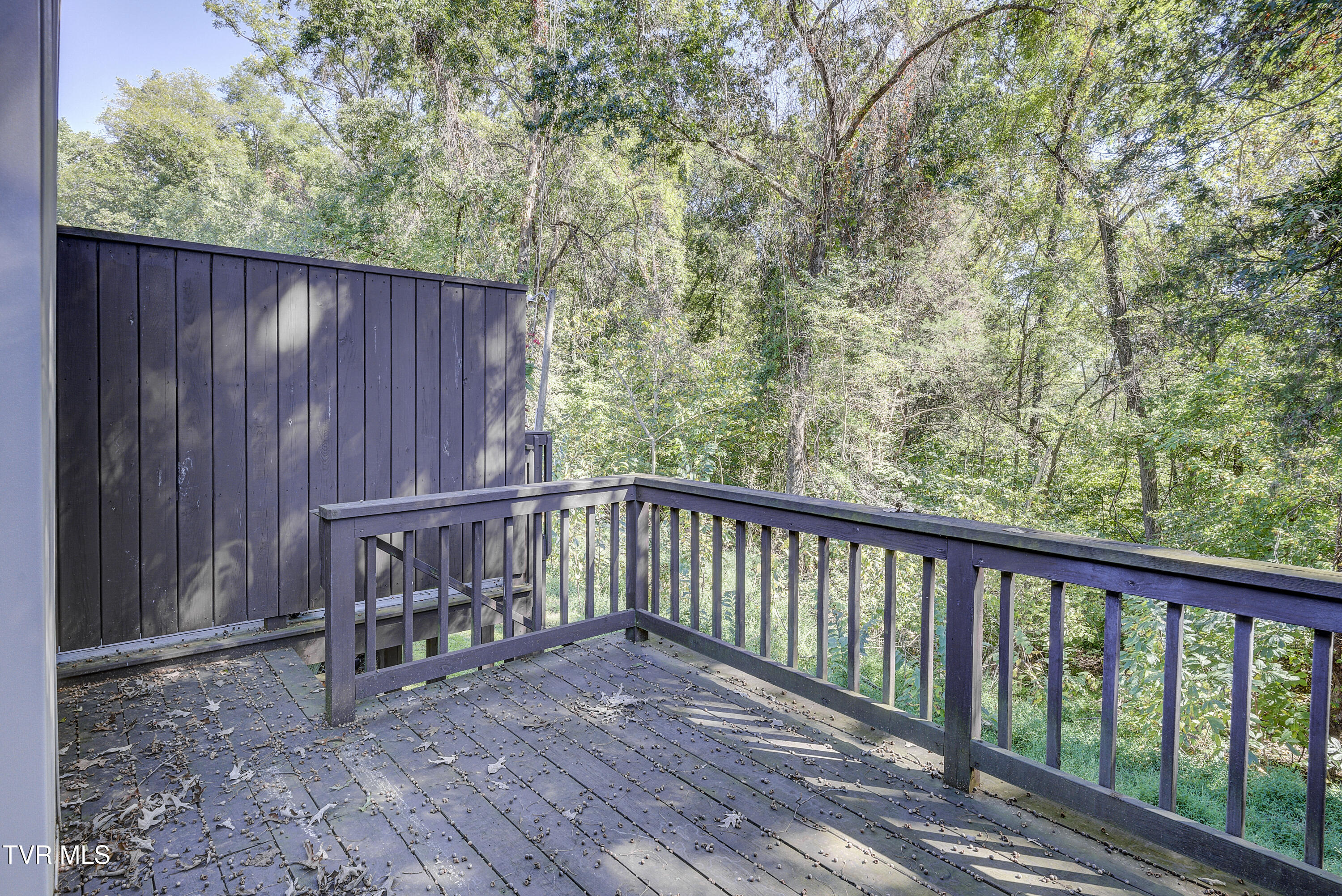 780 Hamilton Road, Unit D5 Blountville, TN 37617 - Photo 33 of 55 Hamilton-D5-31