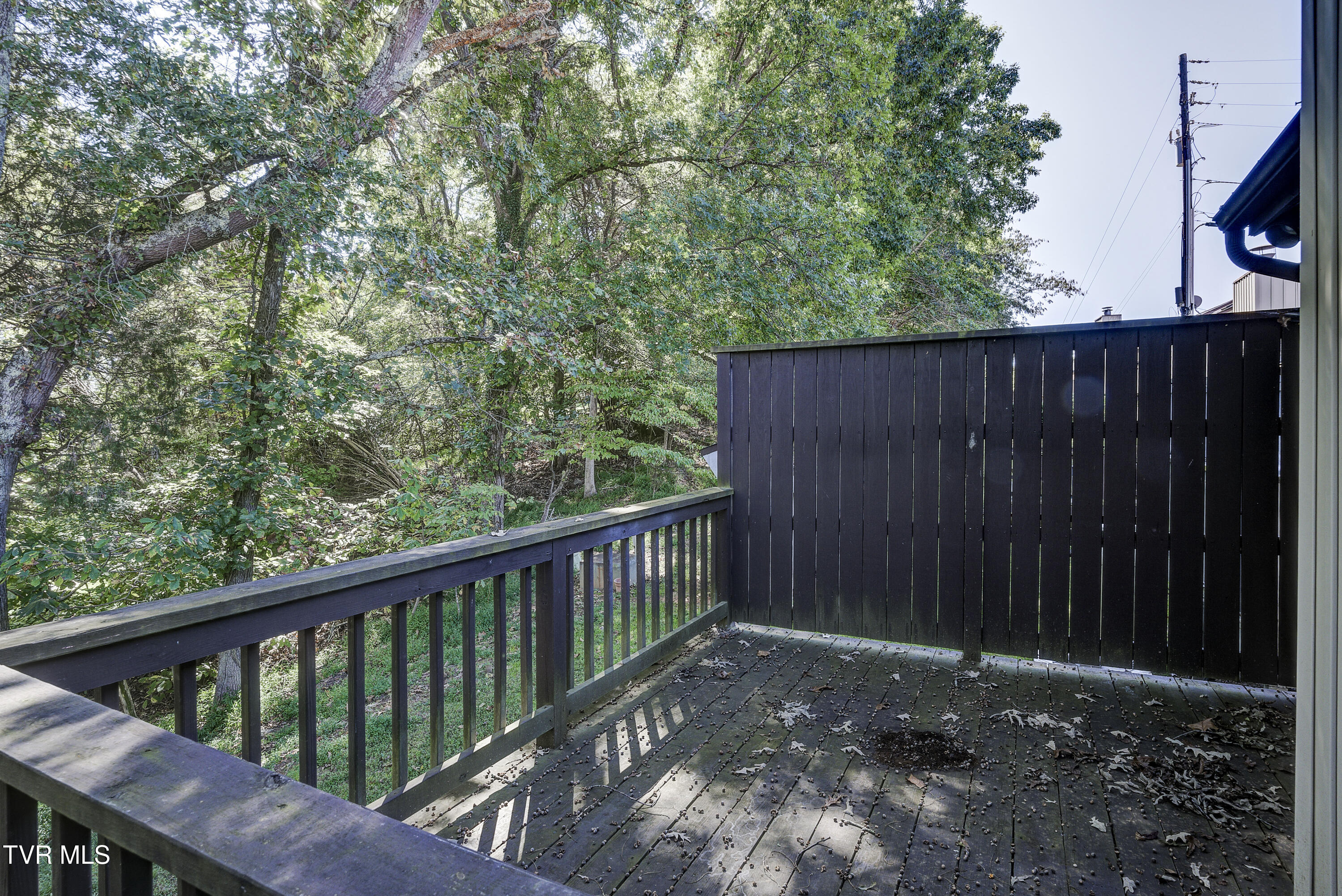 780 Hamilton Road, Unit D5 Blountville, TN 37617 - Photo 34 of 55 Hamilton-D5-32