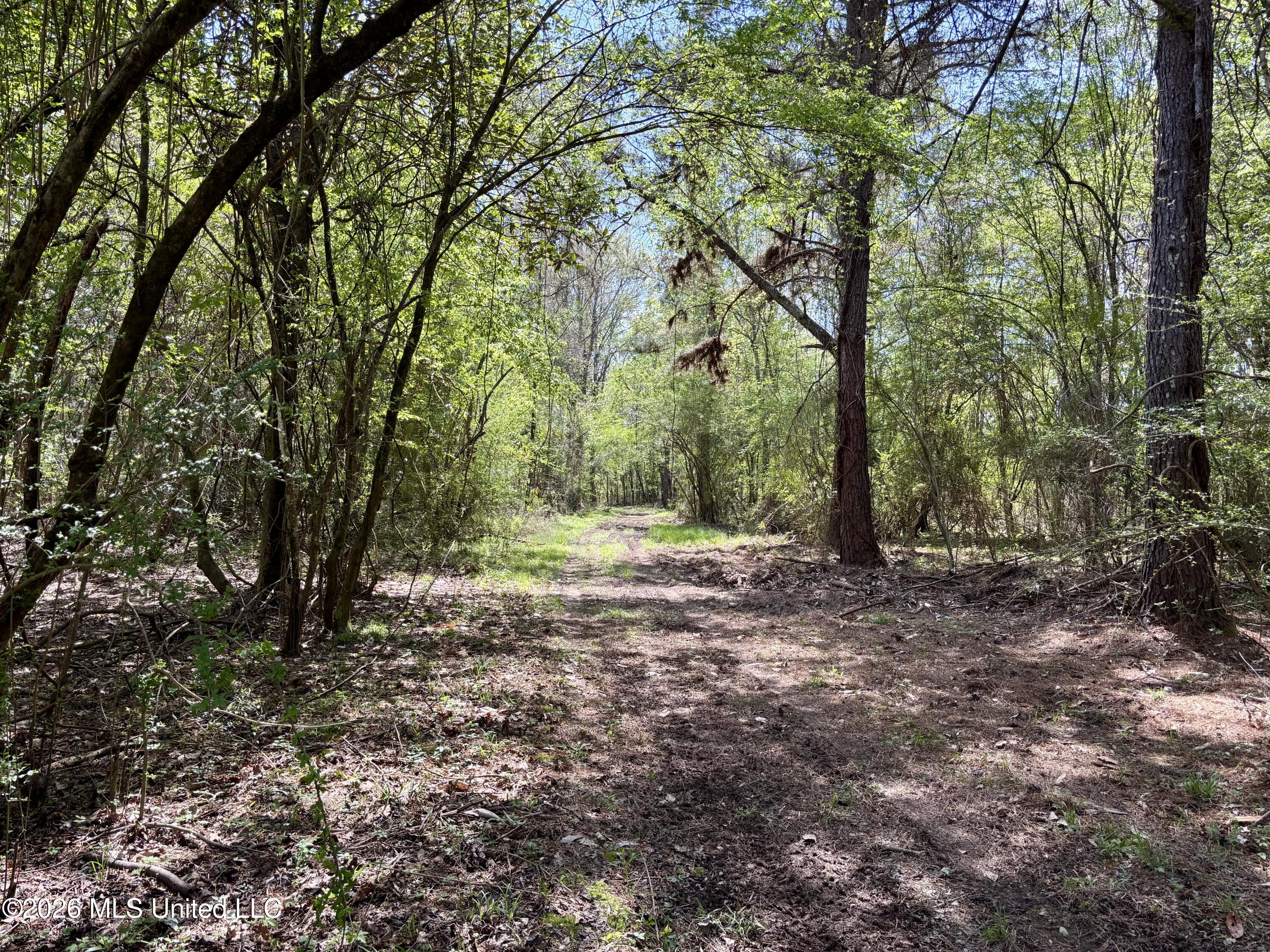 50 Oakdale Church Road Seminary, MS 39479 - Photo 11 of 65 IMG_4155