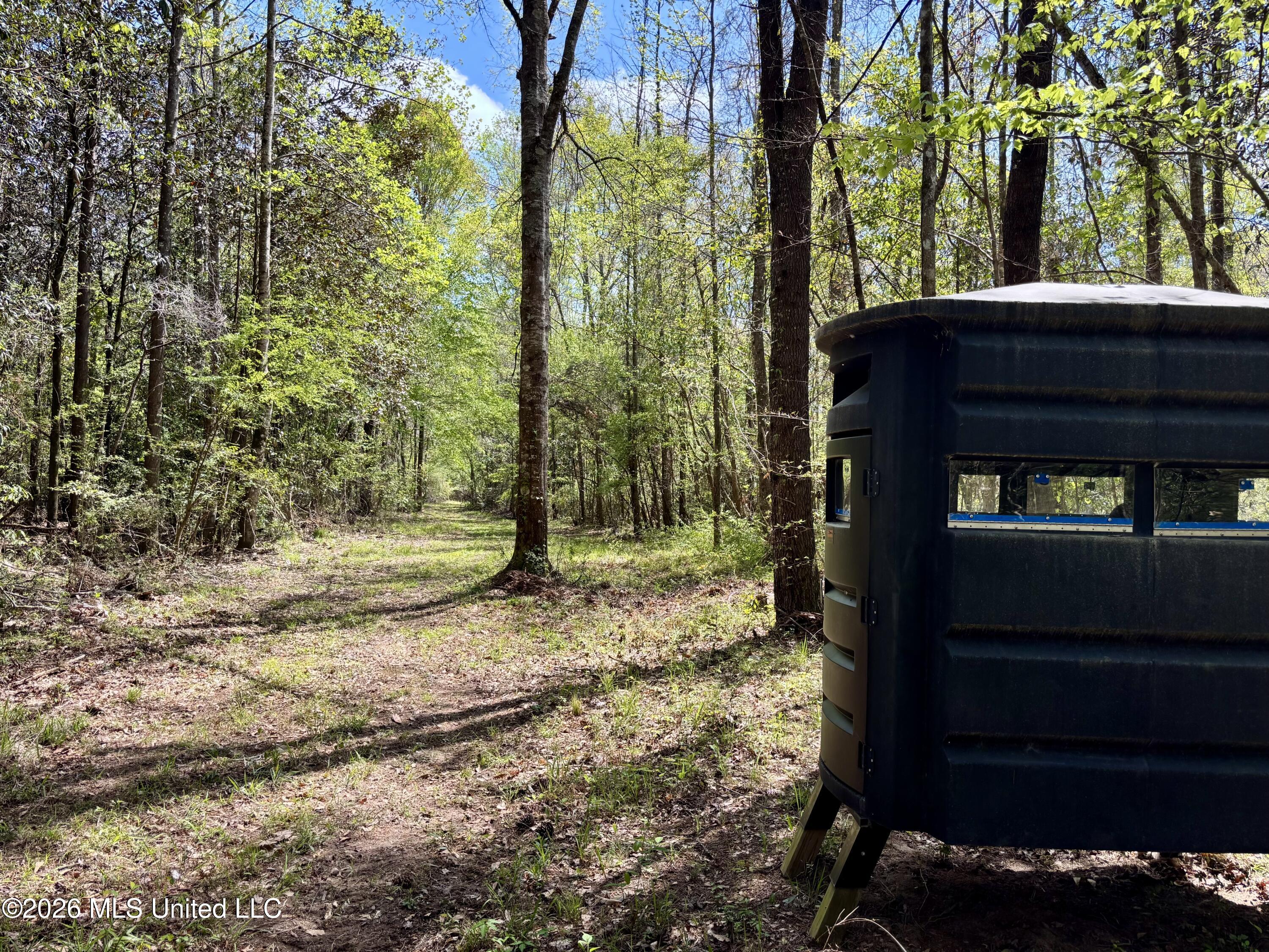 50 Oakdale Church Road Seminary, MS 39479 - Photo 12 of 65 IMG_4150
