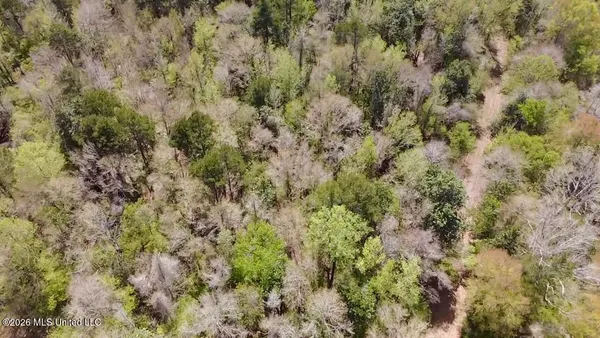 $486,500 | 50 Oakdale Church Road, Seminary, MS 39479