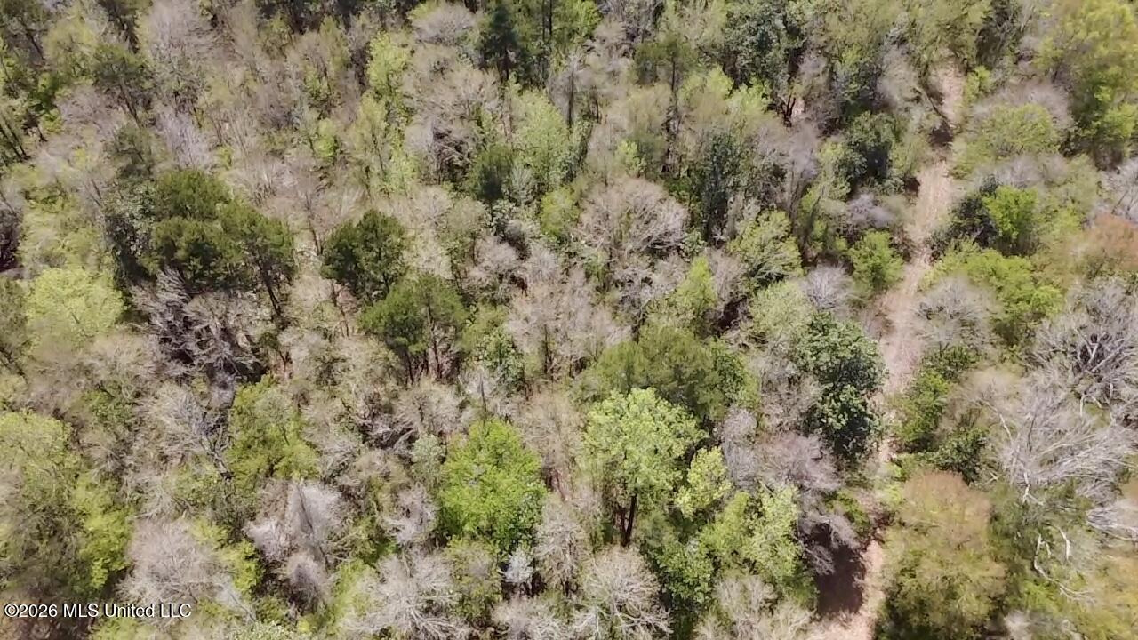 50 Oakdale Church Road Seminary, MS 39479 - Photo 13 of 65 2026-03-23-13-03-56-596