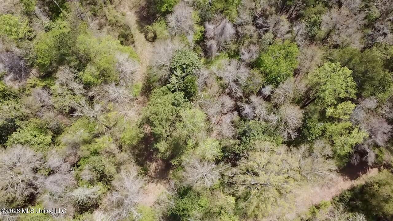 50 Oakdale Church Road Seminary, MS 39479 - Photo 14 of 65 2026-03-23-13-03-49-239