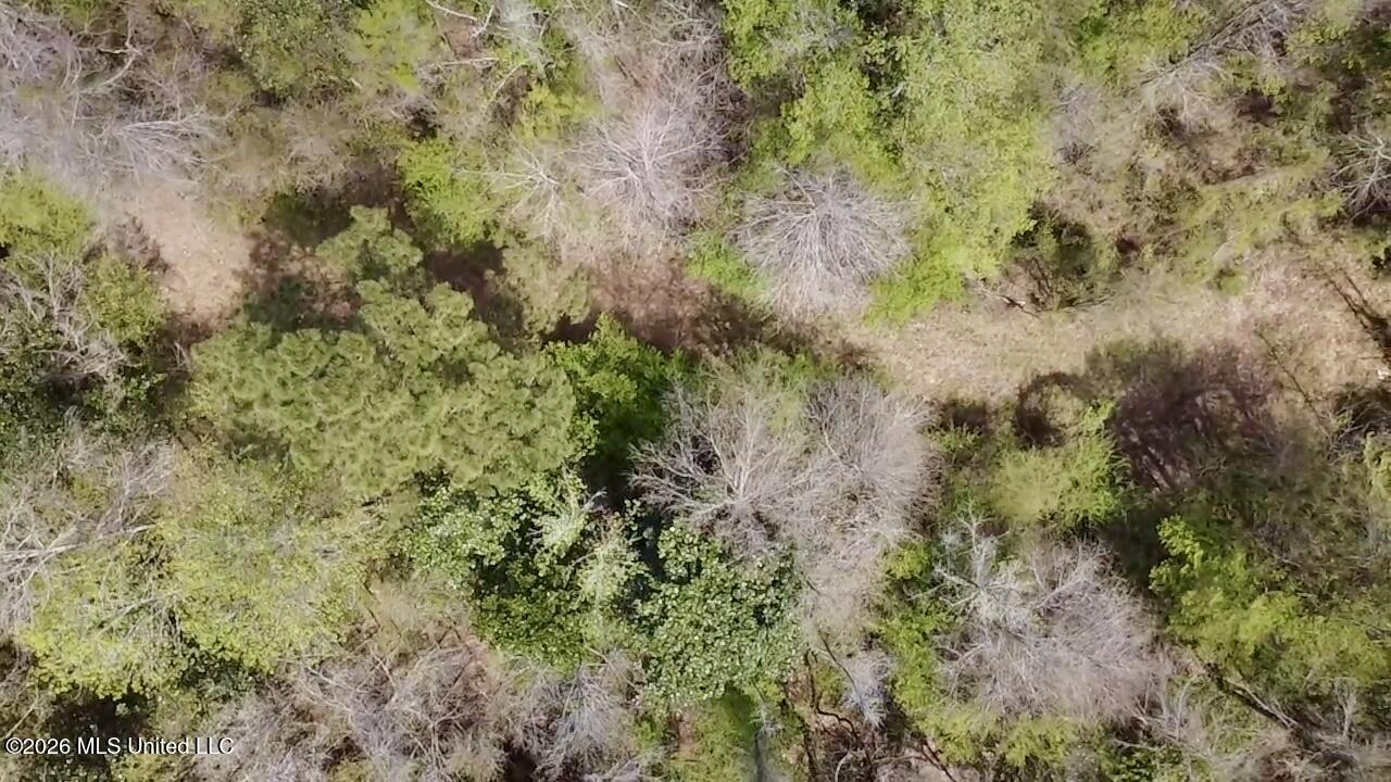 50 Oakdale Church Road Seminary, MS 39479 - Photo 16 of 65 2026-03-23-13-04-18-601