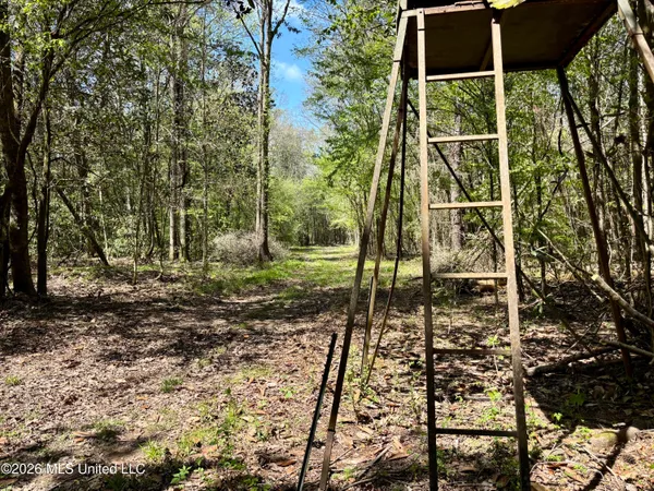 $486,500 | 50 Oakdale Church Road, Seminary, MS 39479