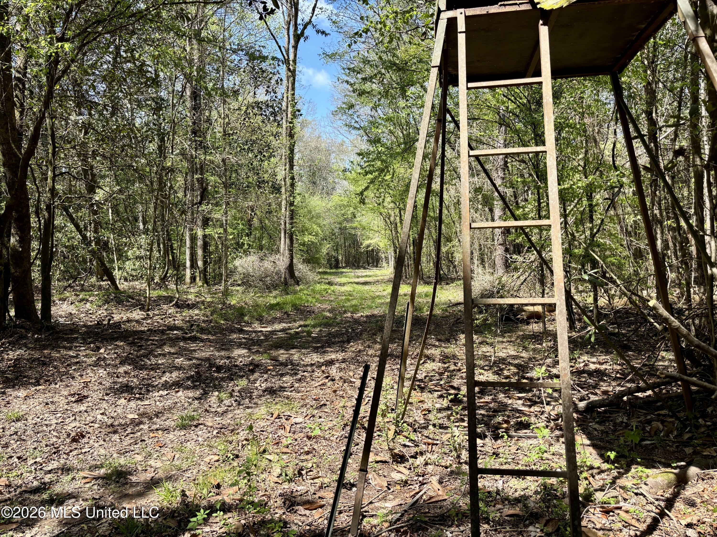 50 Oakdale Church Road Seminary, MS 39479 - Photo 17 of 65 IMG_4138