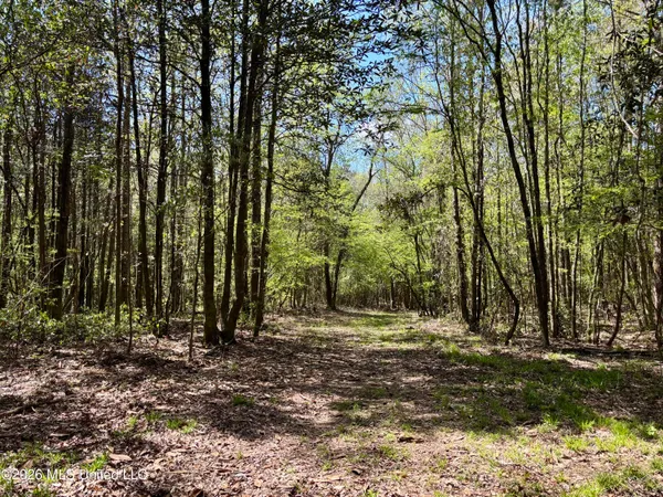 $486,500 | 50 Oakdale Church Road, Seminary, MS 39479