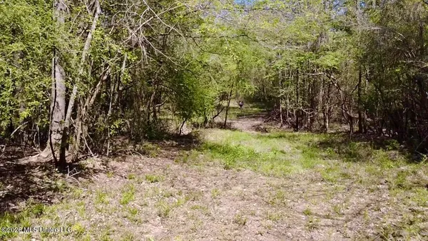 $486,500 | 50 Oakdale Church Road, Seminary, MS 39479