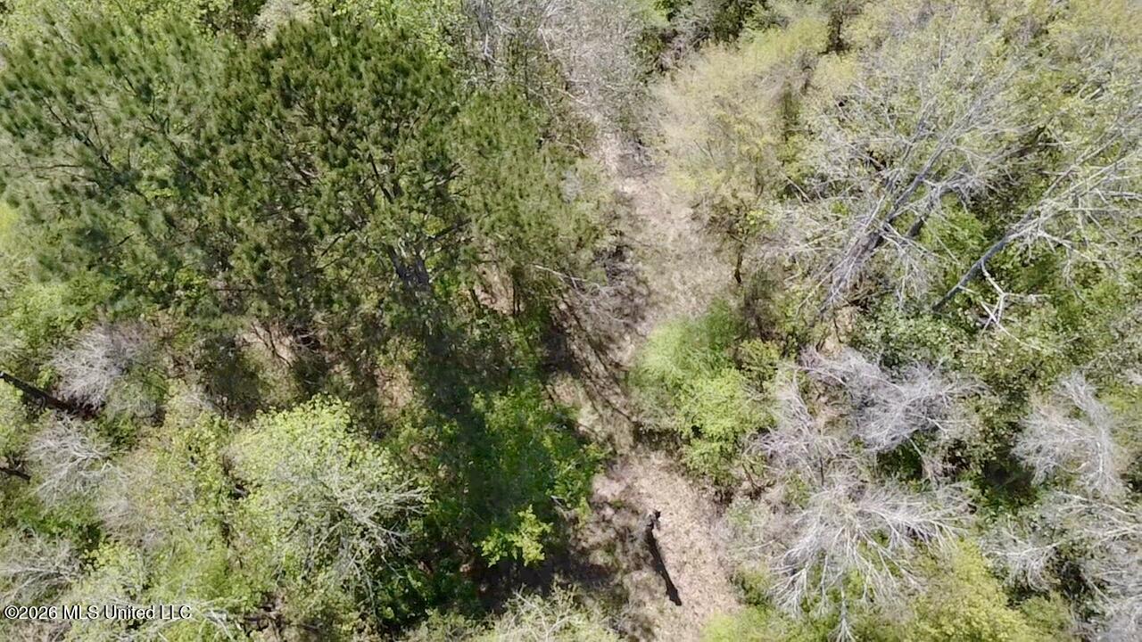 50 Oakdale Church Road Seminary, MS 39479 - Photo 20 of 65 2026-03-23-12-55-43-192