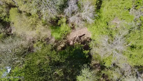 $486,500 | 50 Oakdale Church Road, Seminary, MS 39479