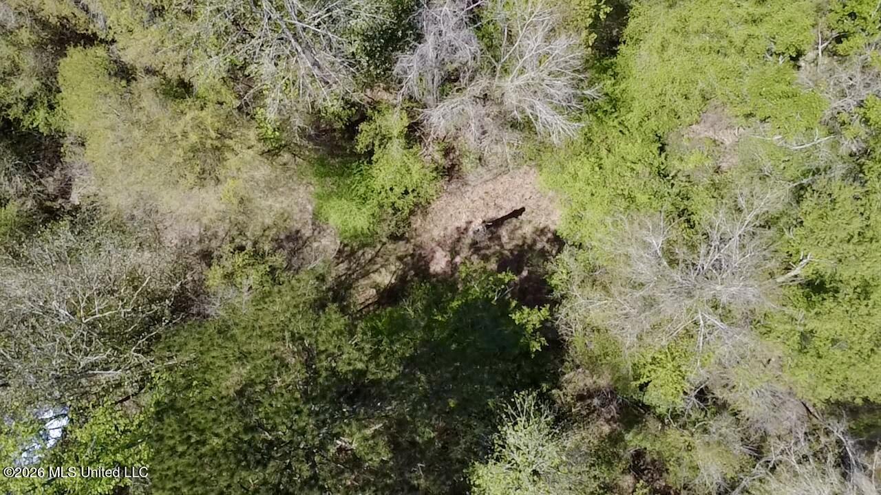 50 Oakdale Church Road Seminary, MS 39479 - Photo 21 of 65 2026-03-23-12-55-28-229