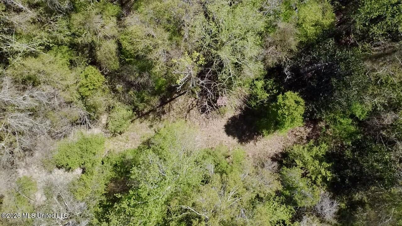 50 Oakdale Church Road Seminary, MS 39479 - Photo 22 of 65 2026-03-23-12-55-03-983