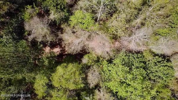 $486,500 | 50 Oakdale Church Road, Seminary, MS 39479