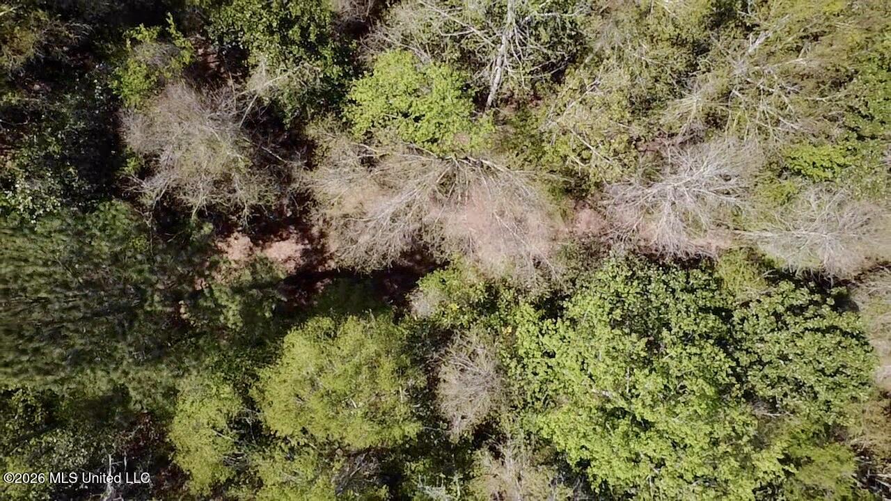 50 Oakdale Church Road Seminary, MS 39479 - Photo 23 of 65 2026-03-23-12-54-32-119