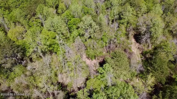 $486,500 | 50 Oakdale Church Road, Seminary, MS 39479
