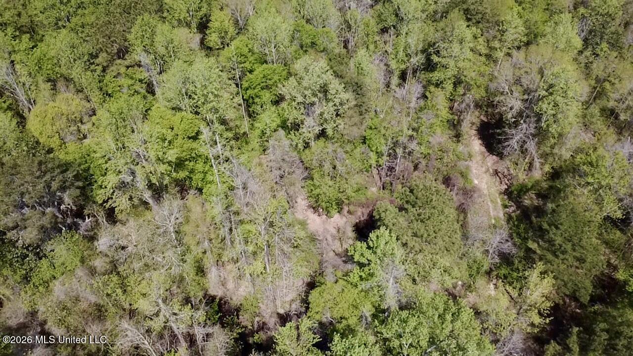 50 Oakdale Church Road Seminary, MS 39479 - Photo 24 of 65 2026-03-23-12-50-09-146